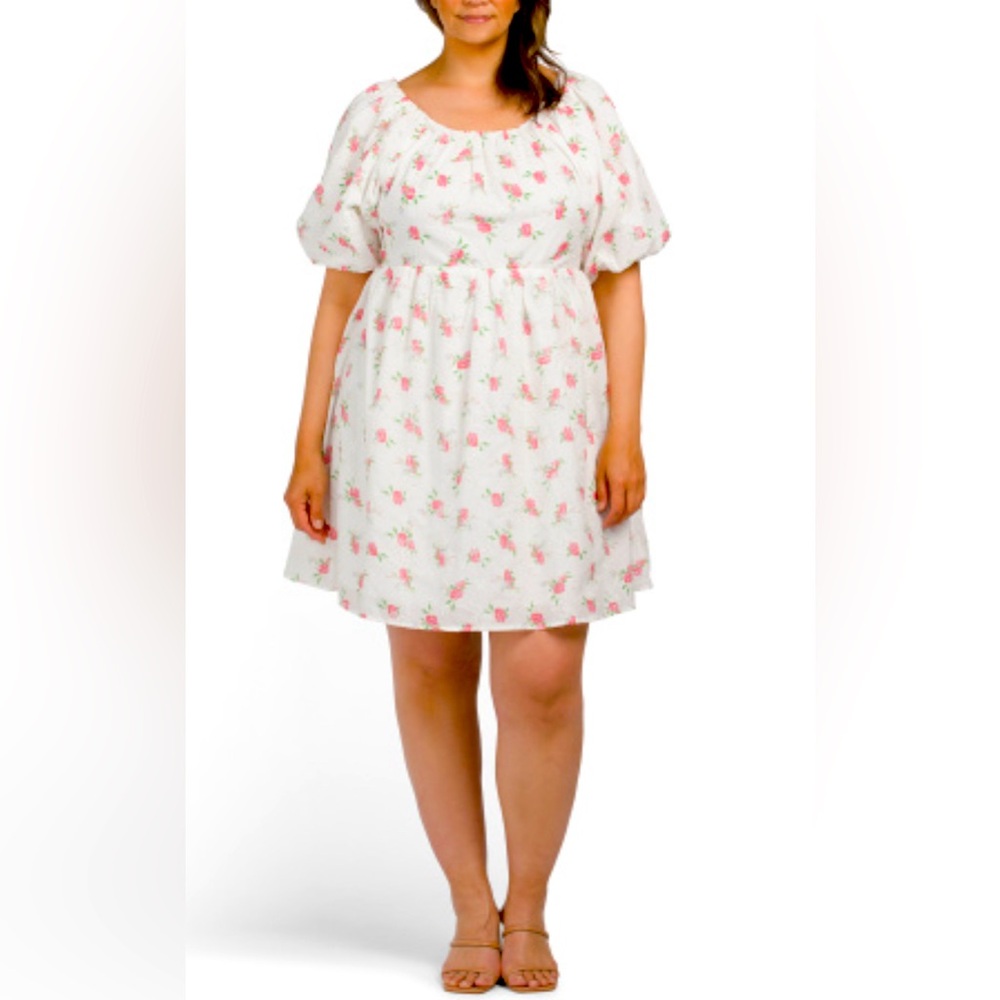 Plus Floral Embroidered Mini Dress- Endless Rose